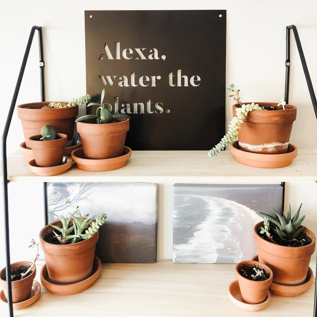 12" x 12" Alexa, Water the Plants
