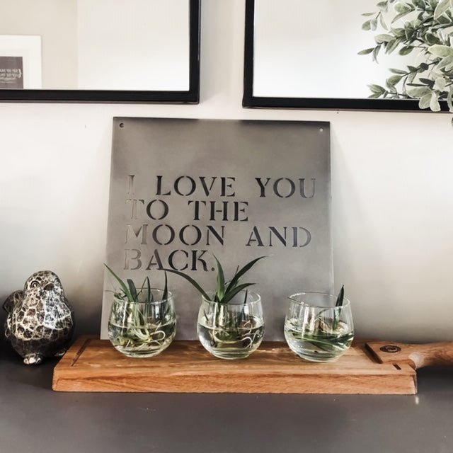 12" x 12" I love You to the Moon