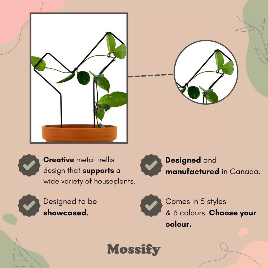 "Check Mark" Metal Trellis