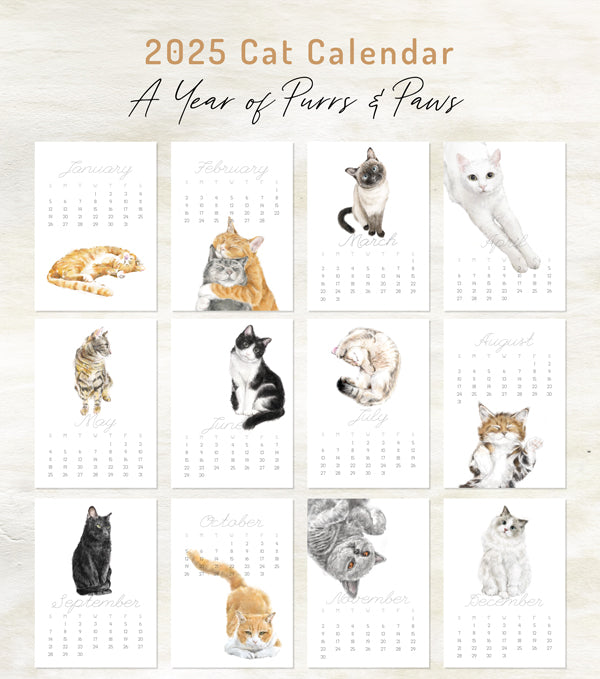 2026 Desk Calendar: Cat Watercolor Art