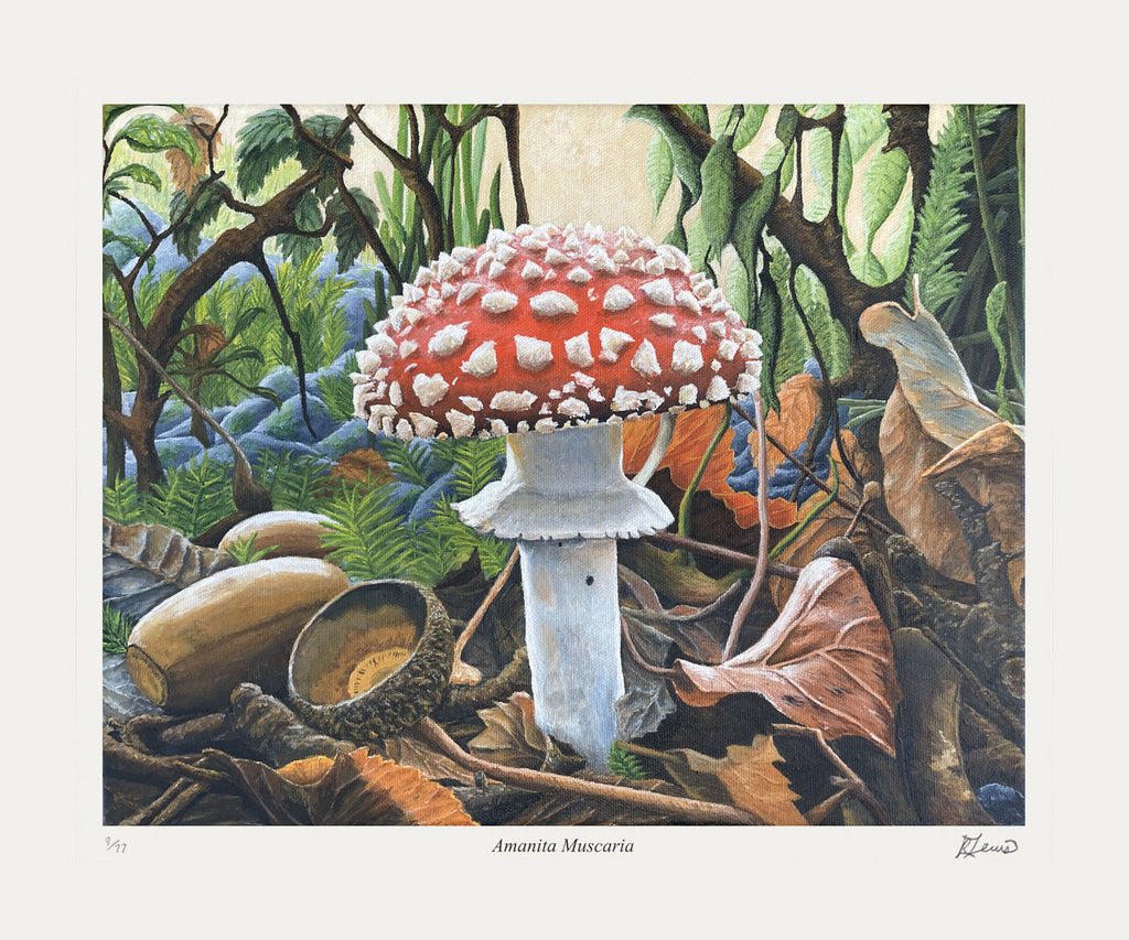 "AMANITA MUSCARIA" LIMITED OF 77 ART PRINT BY RYAN LEWIS (20" BY 16.5")