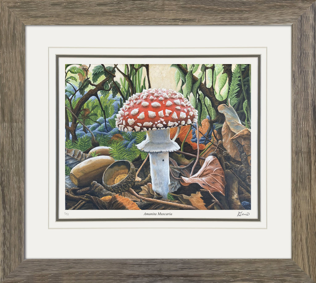"AMANITA MUSCARIA" LIMITED FRAMED ART PRINT BY RYAN LEWIS (31" BY 24")