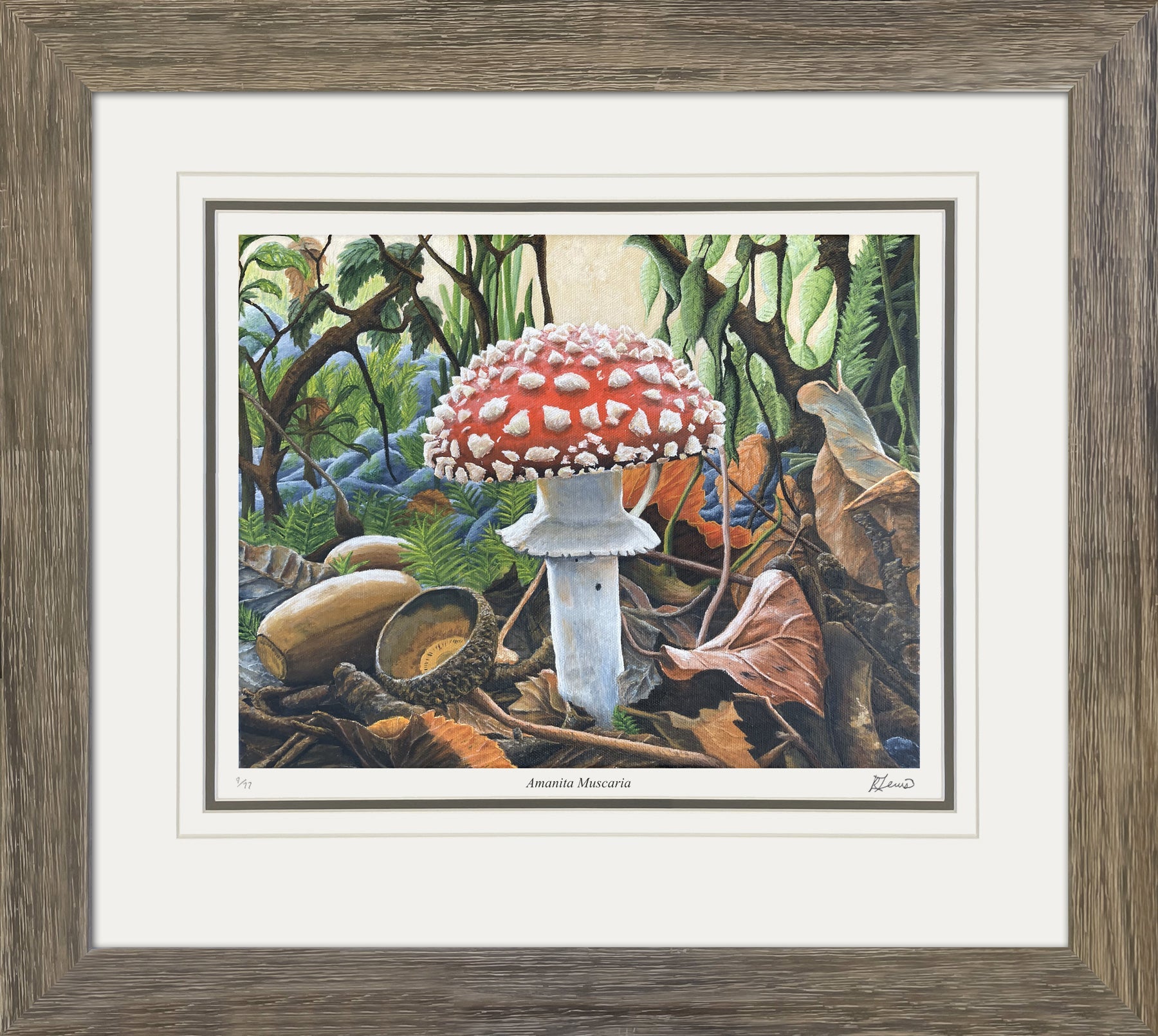 "AMANITA MUSCARIA" LIMITED FRAMED ART PRINT BY RYAN LEWIS (31" BY 24")