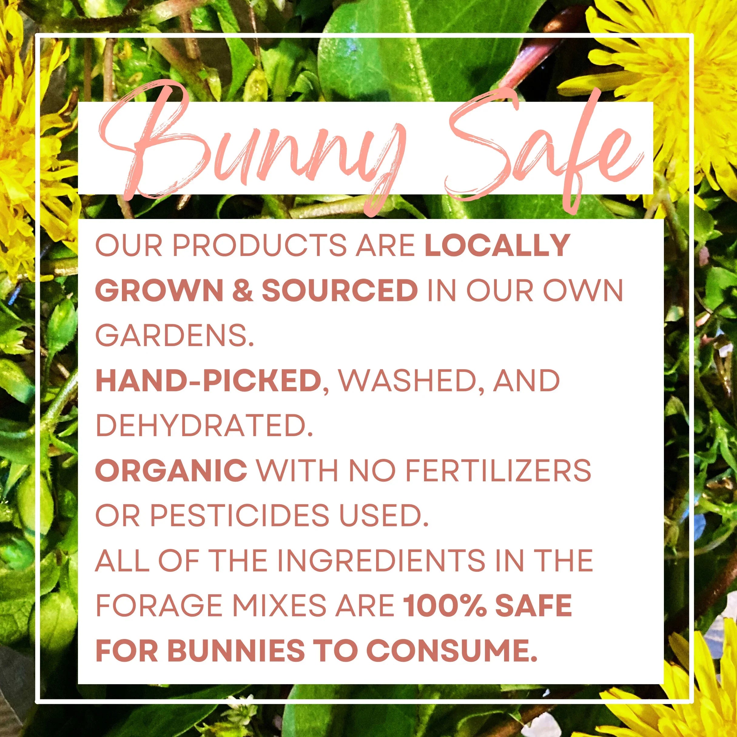 "Dandelion Fields" Hay Topper