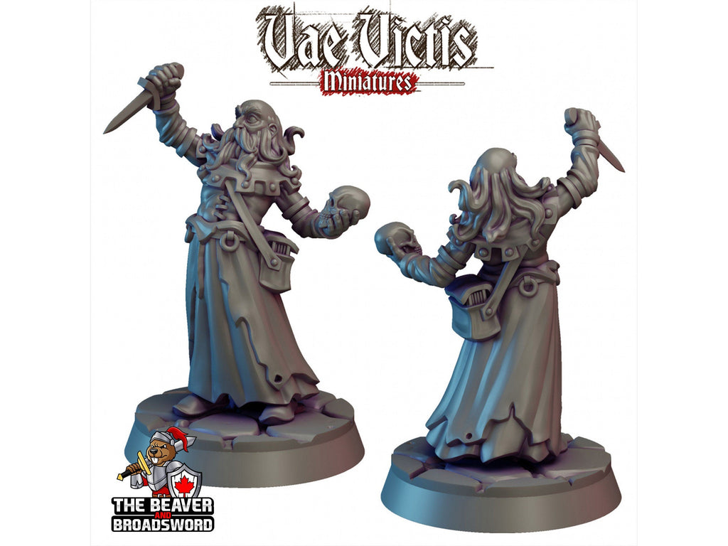 14 Vampire Hunters Mini Set - Vae Victis | DnD | Pathfinder | Human | Fighter |  Monster | Dark | Gothic | Victorian 28mm 32mm Fantasy