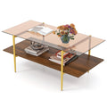 2-Tier Glass Coffee Table with Tampered Glass Tabletop and Open Storage Shelf-Brown