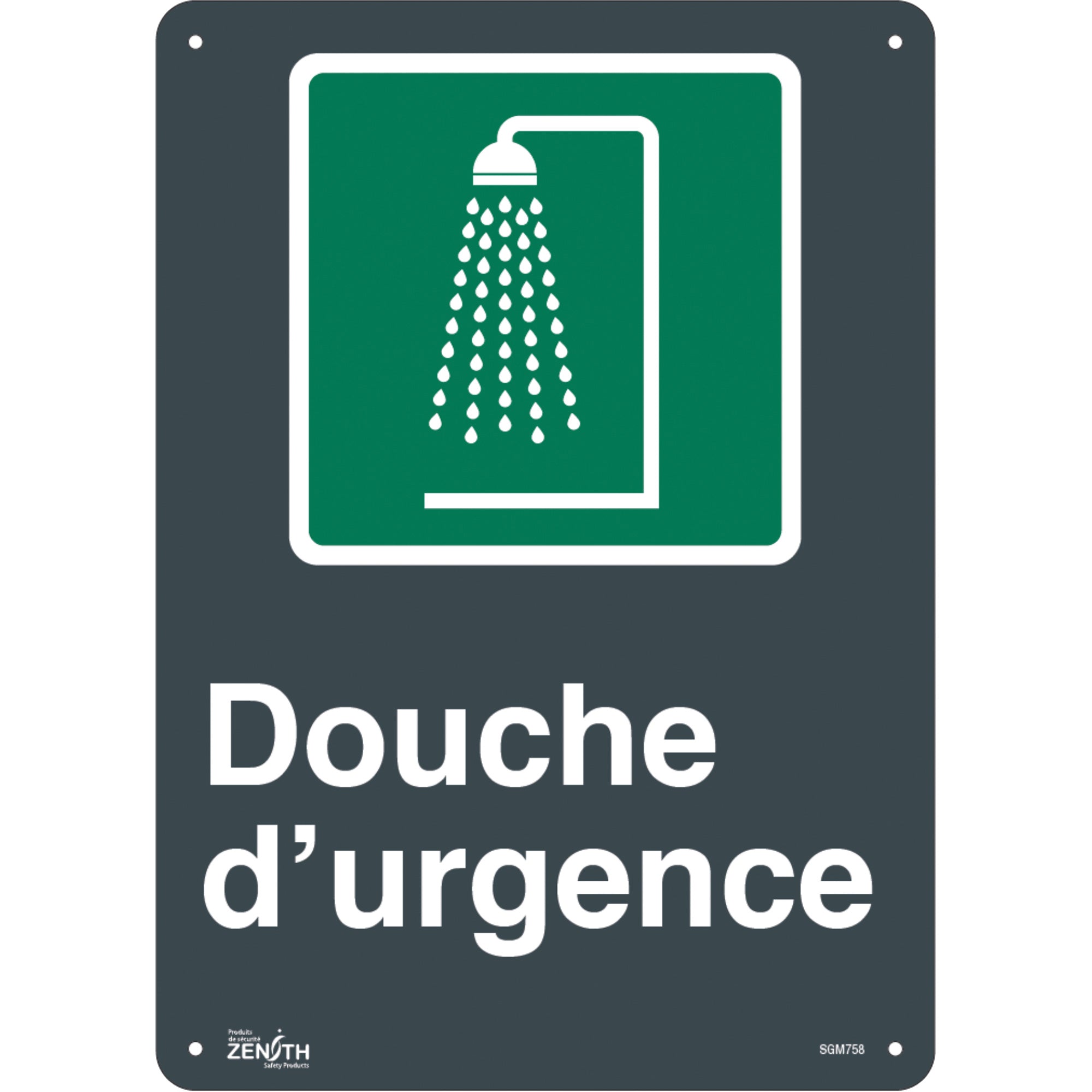 "Douche D'Urgence" Sign, 14" x 10", Plastic, French with Pictogram